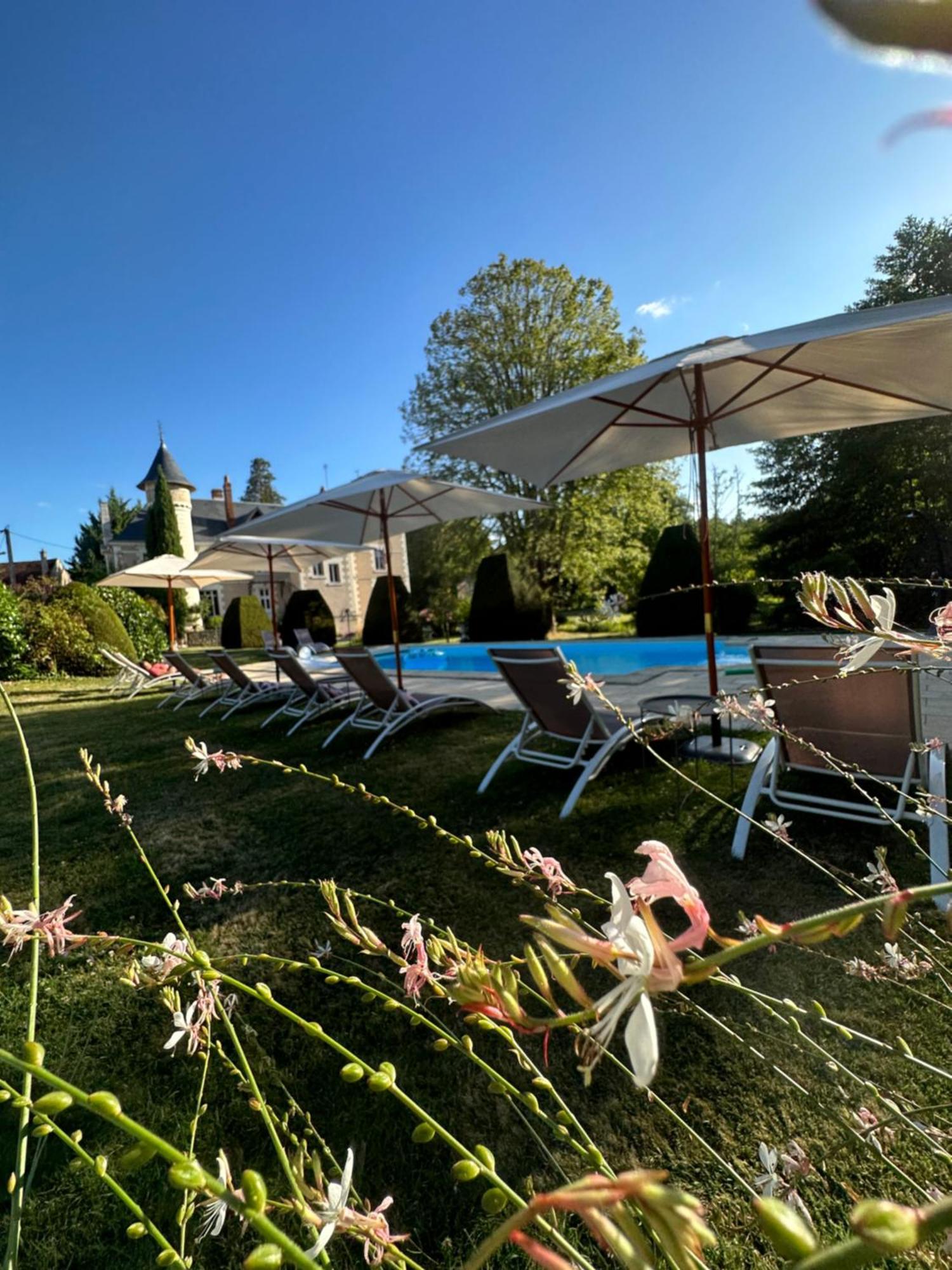 Bed and Breakfast Le Moulin De Francueil Exteriér fotografie